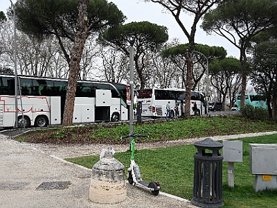 DSC 8483