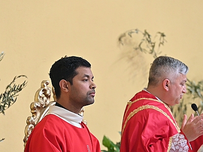 DSC 0495