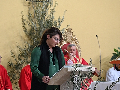 DSC 0517