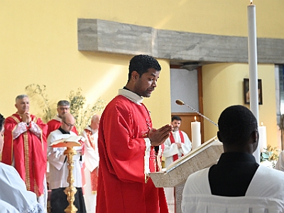 DSC 0533