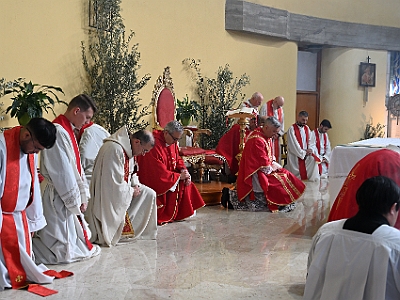 DSC 0560