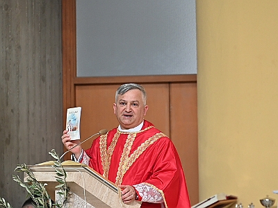 DSC 0593