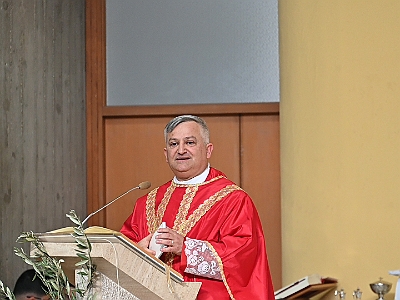 DSC 0594