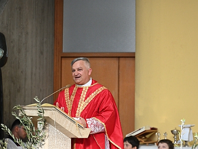 DSC 0608