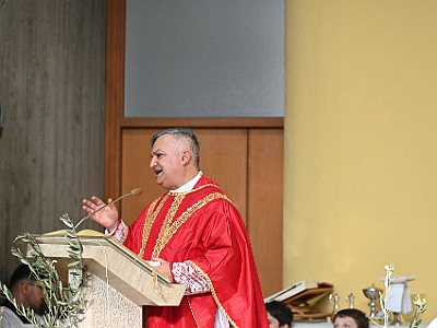 DSC 0609