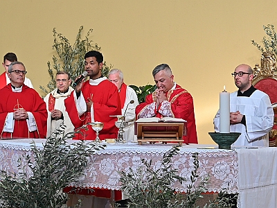 DSC 0700