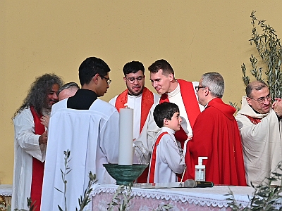 DSC 0716